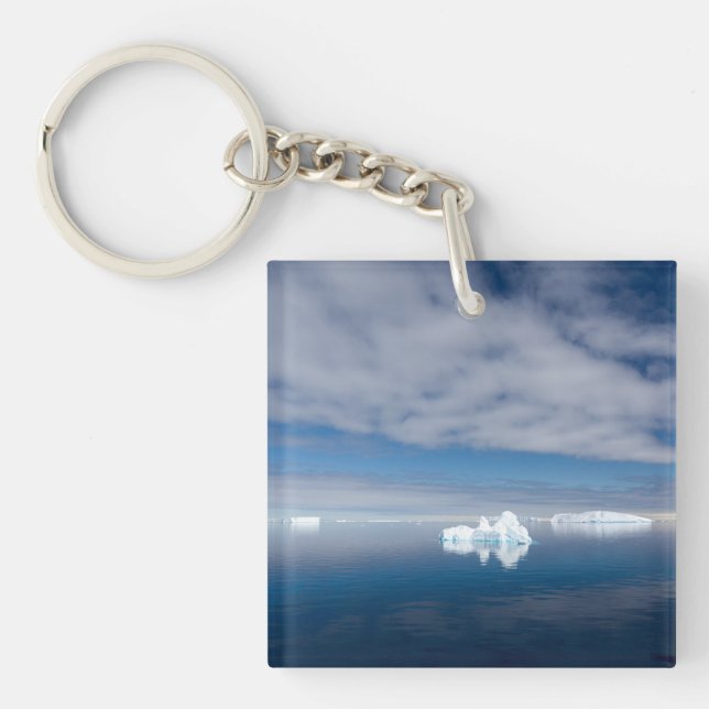 Floating ice in Antarctica Key Ring (Front)