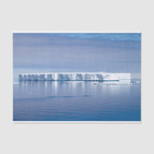 Floating iceberg tissue paper