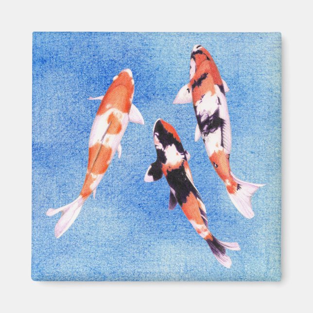 Floating Koi blue Magnet (Front)