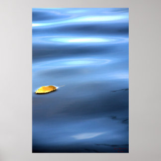 Floating Leaf On Water # 111 Poster