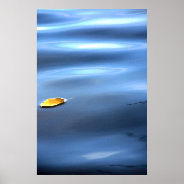 Floating Leaf On Water # 111 Poster (Front)