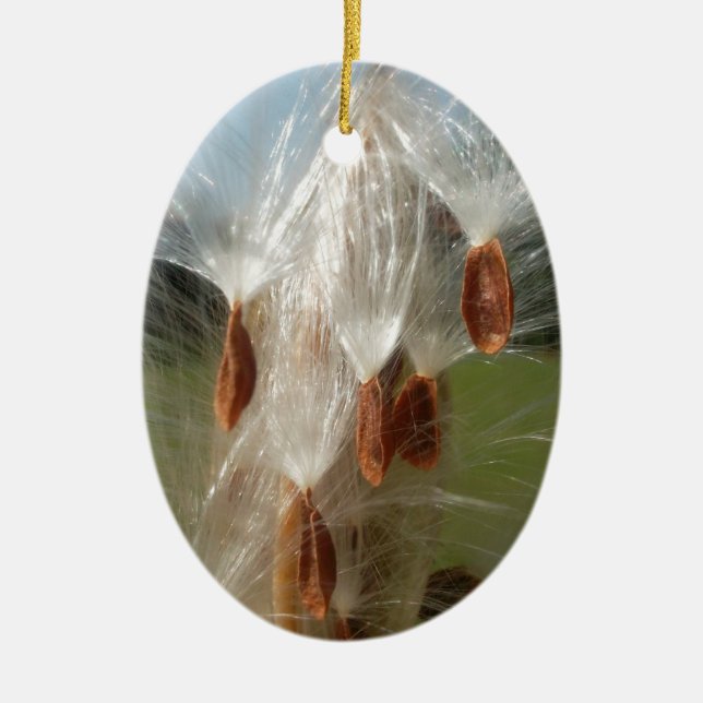 Floating Milkweed Seeds Art Print/Graphic Ceramic Tree Decoration (Front)
