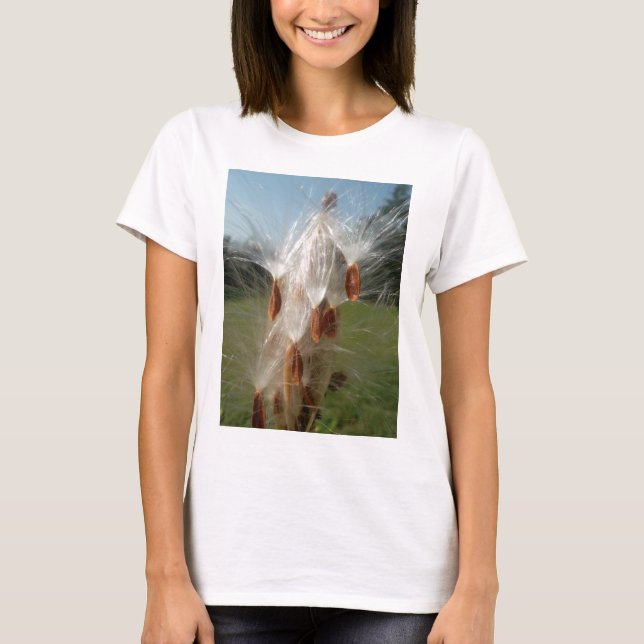 Floating Milkweed Seeds Art Print/Graphic T-Shirt (Front)