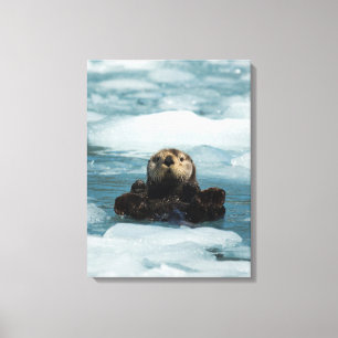Floating Otter Canvas Print