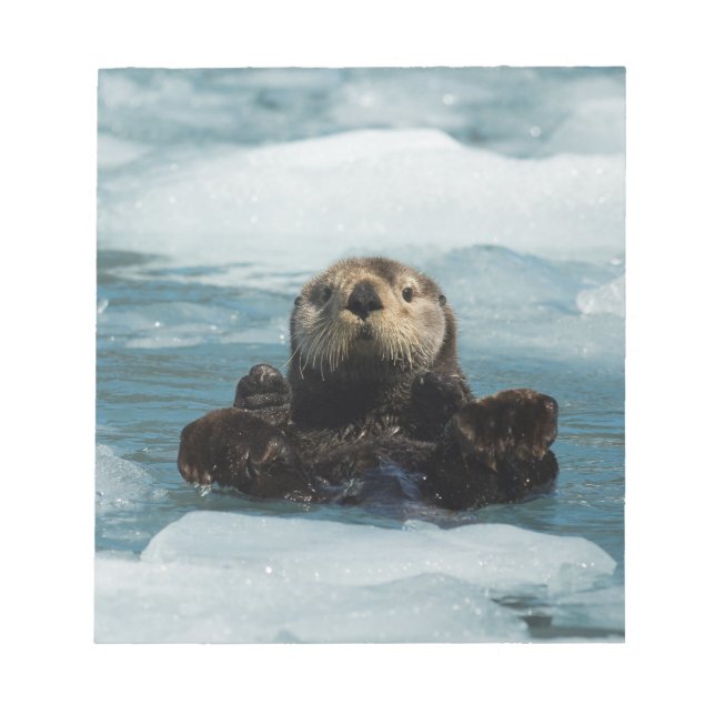 Floating Otter Notepad (Front)