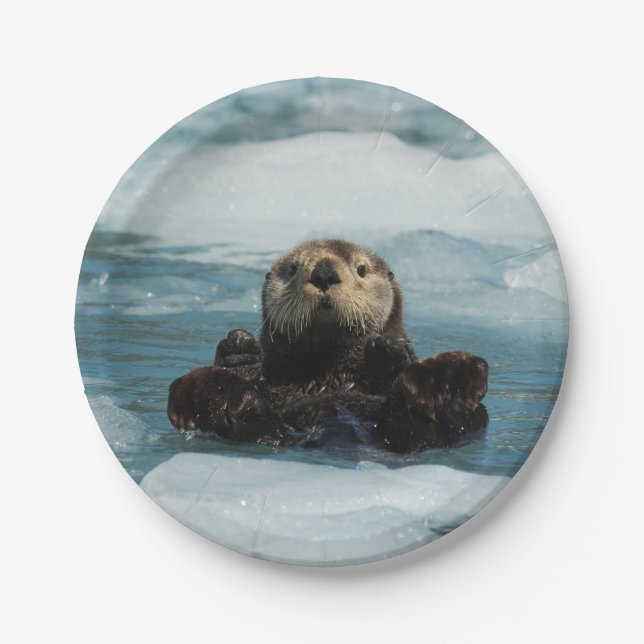 Floating Otter Paper Plate (Front)