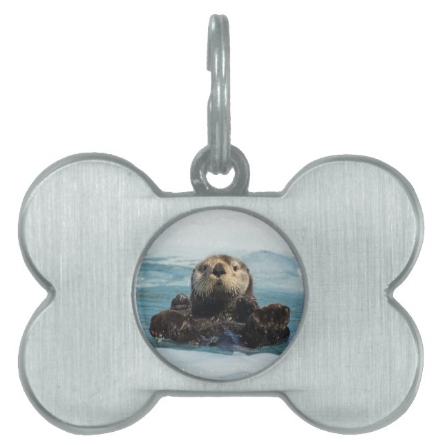 Floating Otter Pet ID Tag (Front)