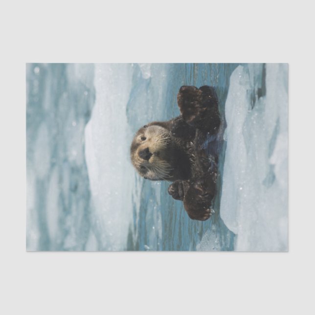 Floating Otter Tissue Paper (Front)