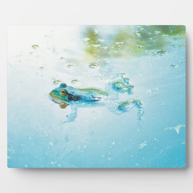 Floating Plaque (Front)