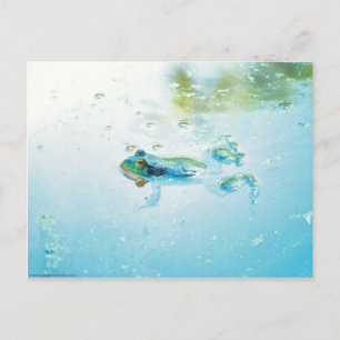 Floating Postcard