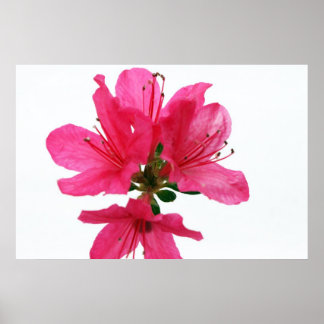 floating poster