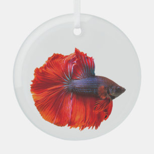 Floating Red Crown Tail Betta Fish Glass Tree Decoration