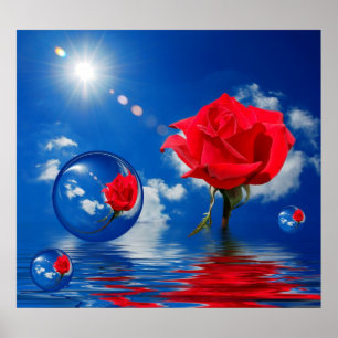 Floating Reflections of Love Poster