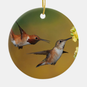 Floating Rufous Hummingbird Ceramic Tree Decoration