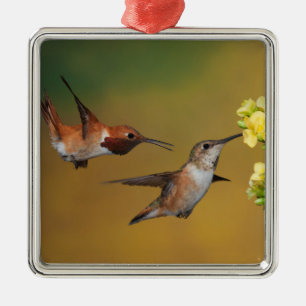 Floating Rufous Hummingbird Metal Tree Decoration