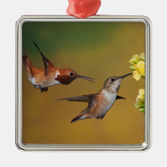 Floating Rufous Hummingbird Metal Tree Decoration (Front)