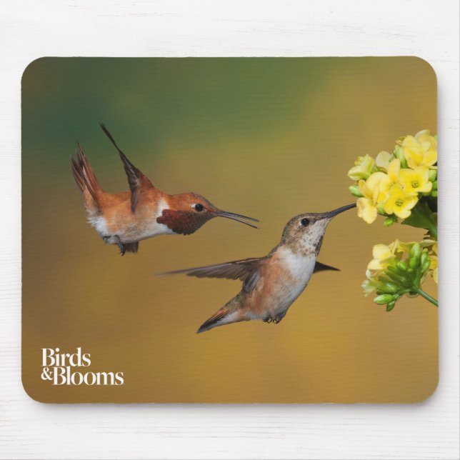 Floating Rufous Hummingbird Mouse Mat (Front)