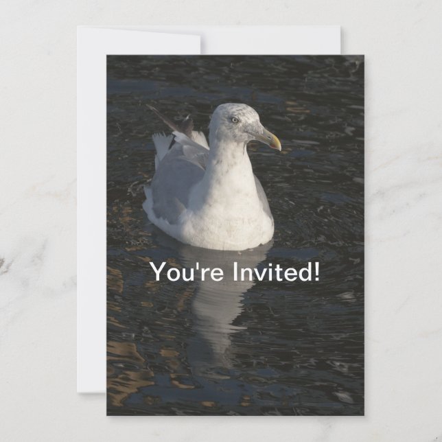 Floating Seagull Invitation (Front)