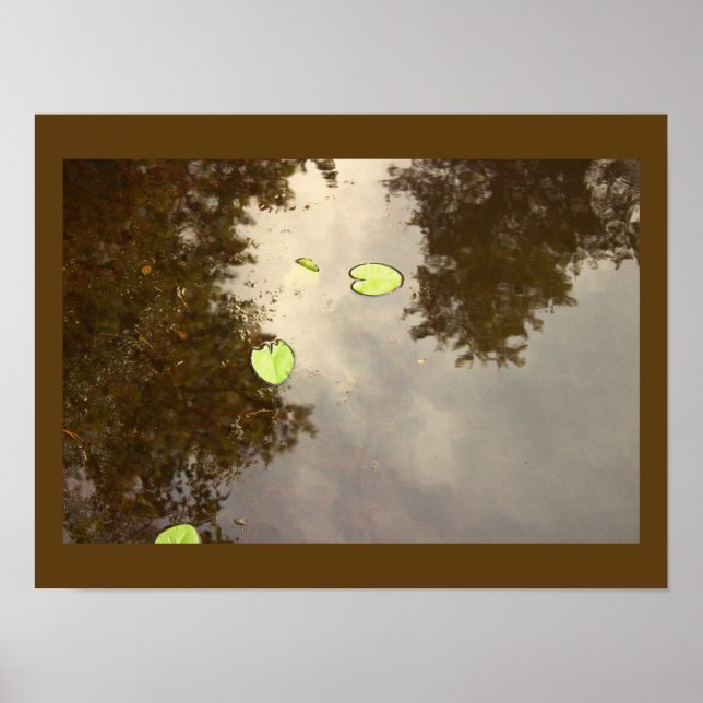 Floating Waterlilies Poster (Front)