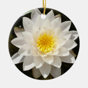 Floating White Waterlily Lotus Ceramic Tree Decoration