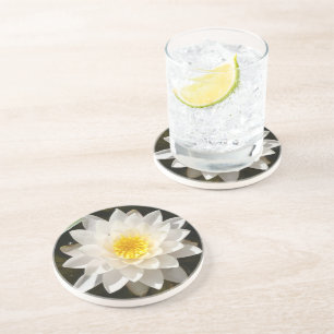 Floating White Waterlily Lotus Coaster