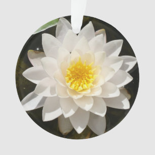 Floating White Waterlily Lotus Ornament