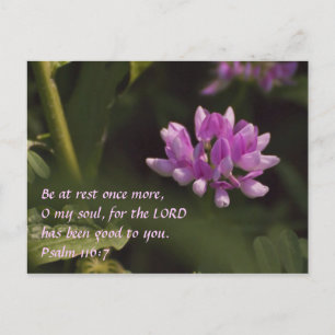Floating Wildflower Postcard