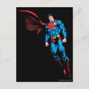 Floating with Cape Postcard