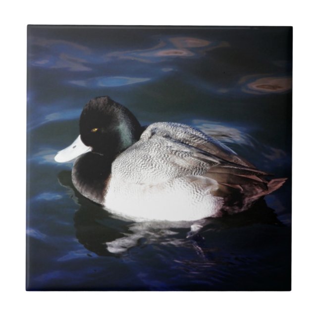 Floating With Sunshine Tile (Front)