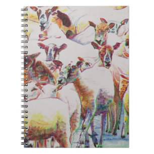 Flock 2011 notebook