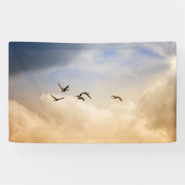 Flock of Birds in Flight Banner (Horizontal)
