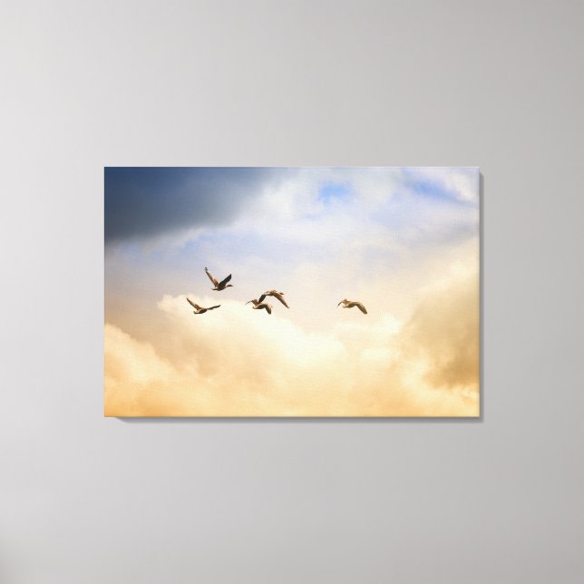Flock of Birds in Flight Canvas Print (Front)