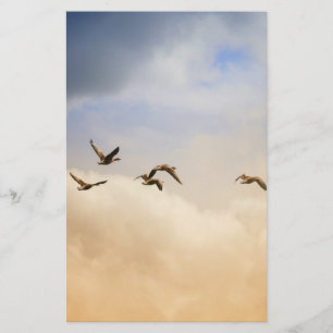 Flock of Birds in Flight Stationery