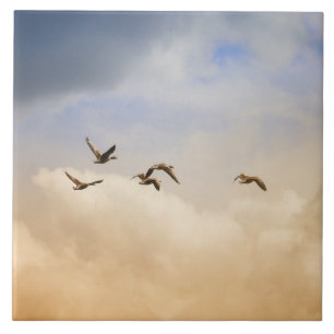 Flock of Birds in Flight Tile