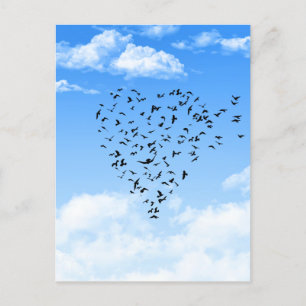 Flock of Birds Love Heart Postcard