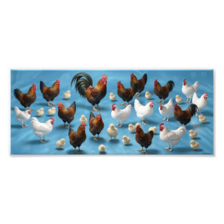 Flock of Chicks and Cockerels Photo Print