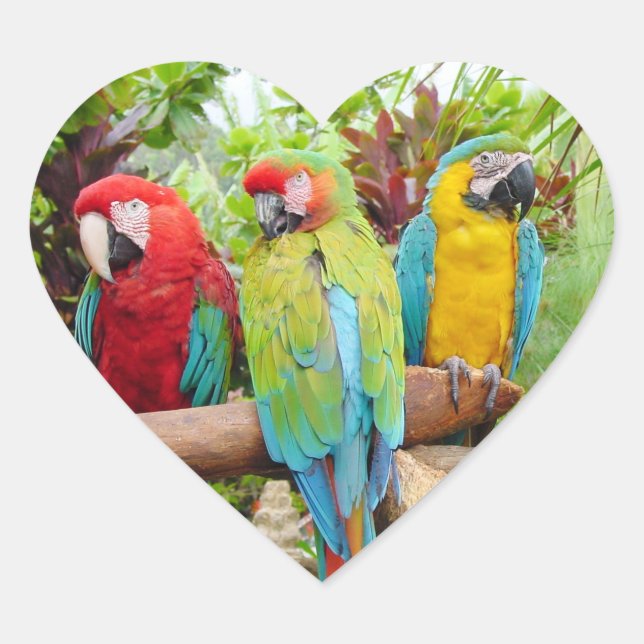 Flock of Colourful Macaw Parrots Heart Sticker (Front)