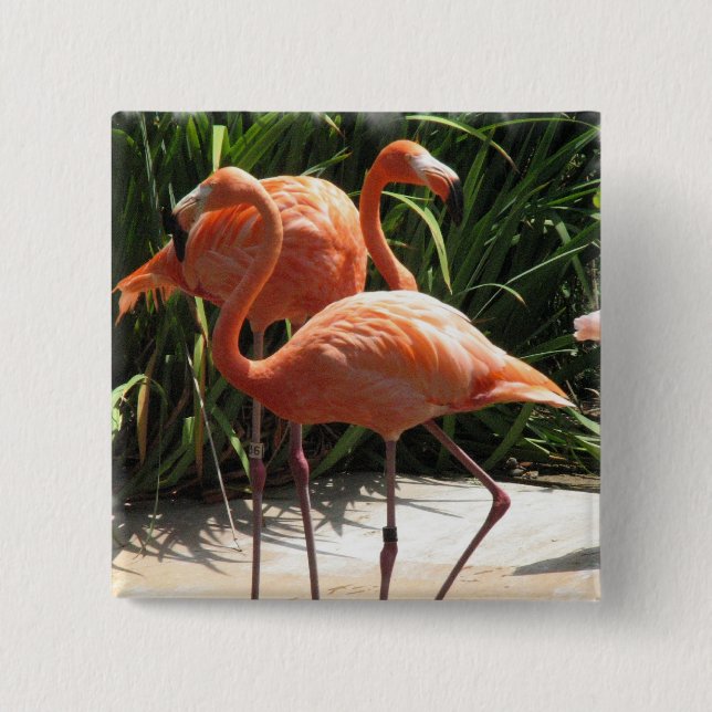 Flock of Flamingos Square Pin (Front)