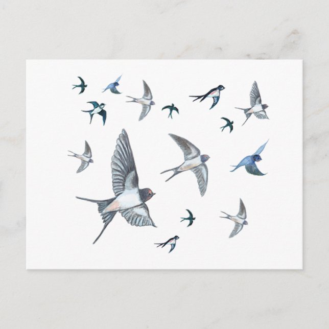 Flock Of Flying Swallow Birds Illustration Holiday Postcard (Front)