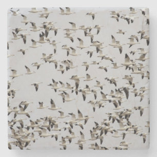 Flock of Geese in Flight Stone Coaster