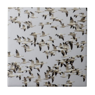 Flock of Geese in Flight Tile