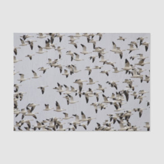 Flock of Geese in Flight Tissue Paper