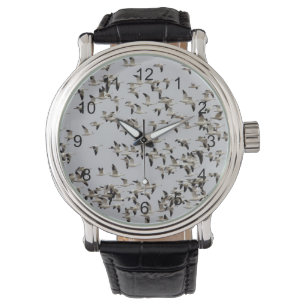 Flock of Geese in Flight Watch