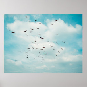 Flock of grey dove fly on vintage blue sky. above, poster