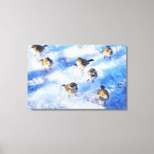 Flock of House Sparrows 'Passer domesticus' on Canvas Print