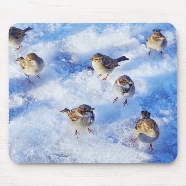 Flock of House Sparrows 'Passer domesticus' on Mouse Mat (Front)
