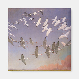 Flock of Ibis Flying Over Wetlands, Vintage Birds Magnet