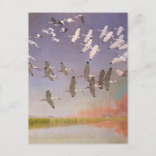 Flock of Ibis Flying Over Wetlands, Vintage Birds Postcard