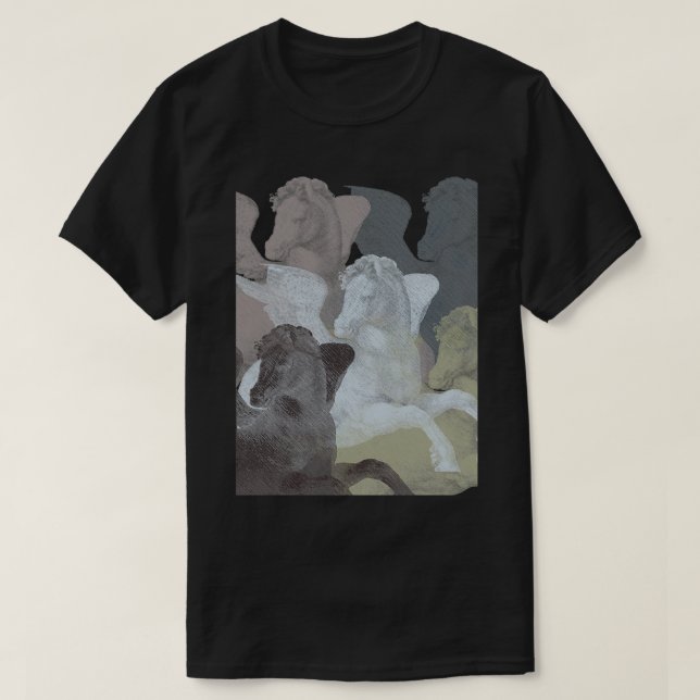 Flock of Pegasi T-Shirt (Design Front)