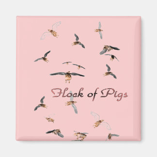 Flock of Pigs Magnet